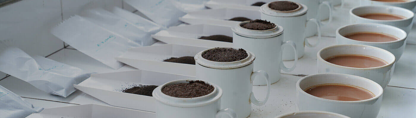 Promise of QualityŚ