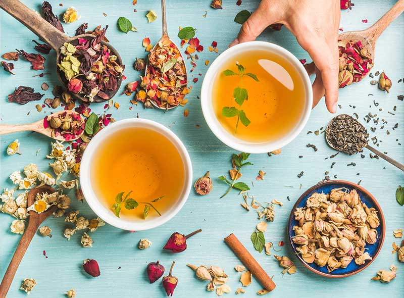 Tea and Immunity: The Strongest Bond