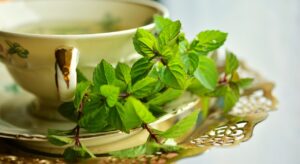  10 Health Benefits of Green Tea